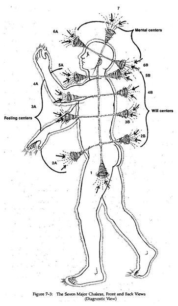 side profile of human body depicting front and rear chakra energy centers in funnel like shape going through human body front to back